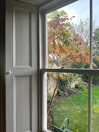 Fallwindowritakonignorthfarm