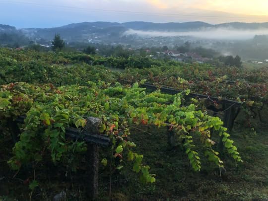 Early morning on the Spiritual Variant, Camino Portuguese