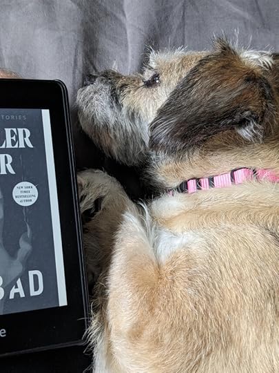 PXL-20231022-222641682-PORTRAIT-ORIGINAL