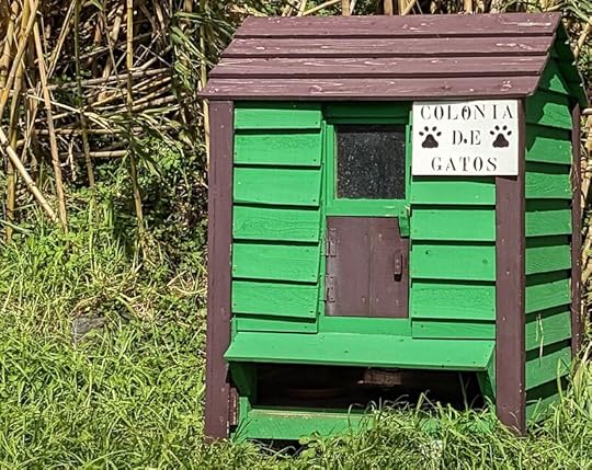 The cat hotel