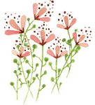 Spanish direct objects