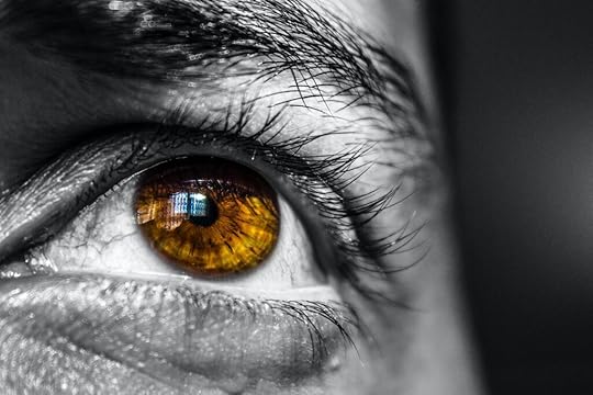 A view of a person's eye.