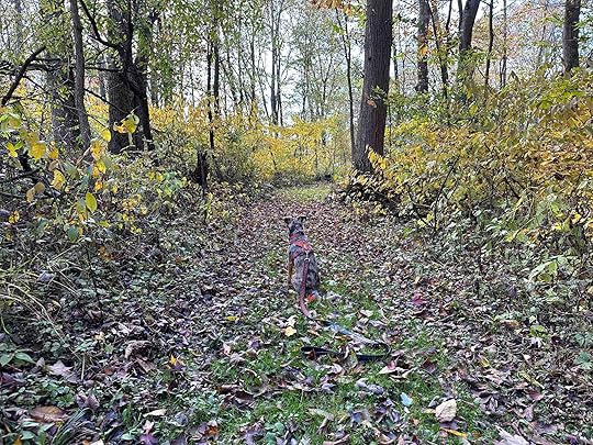 Merry Lea Environmental Learning Center