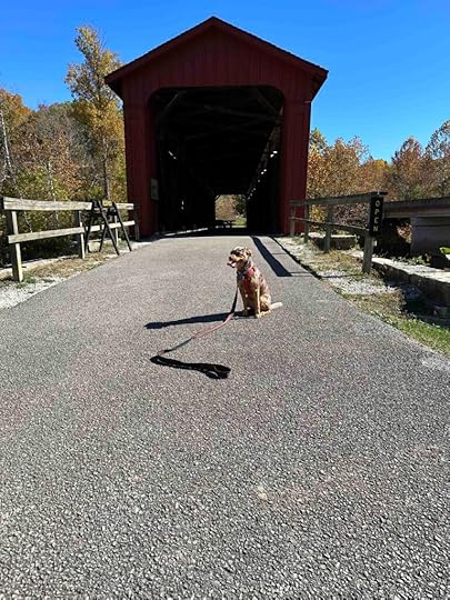 Covered bridge