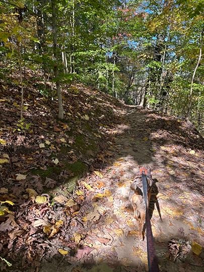 trail to lower falls at Cataract Falls State Recreation Area