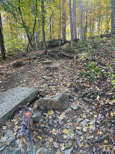 big incline at Cataract Falls State Recreation Area