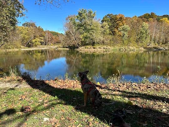 fall colors at Cataract Falls State Recreation Area