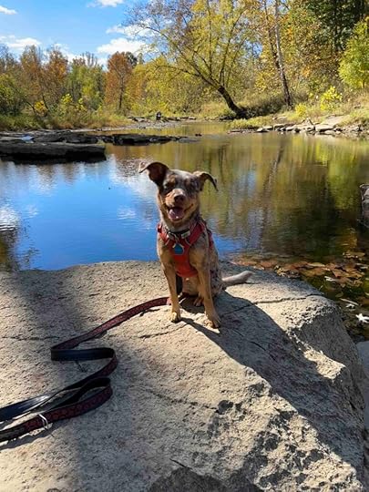 on the rock in Mill Creek