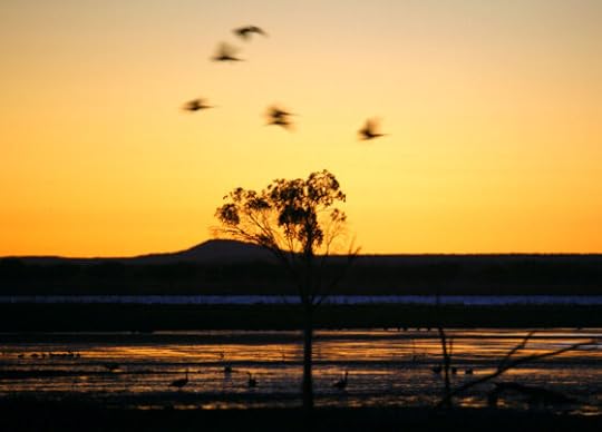 Why we should listen to Indigenous voices