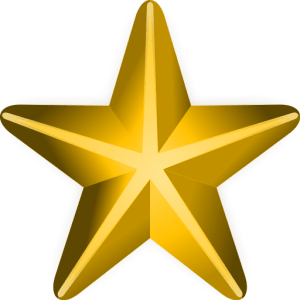 Gold Service Star