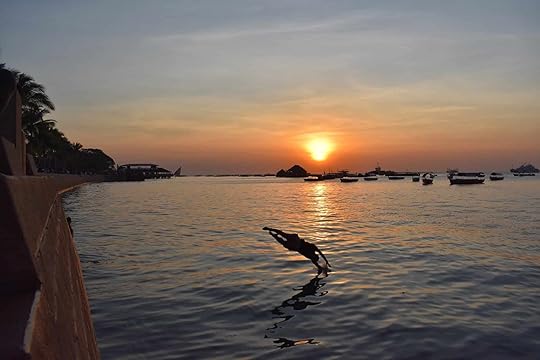 Jumping into the sea at sunset at Forodhani Garden in Stone Town, Zanzibar, Tanzania.