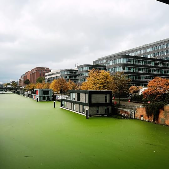 Ein FLeet in Hammerbrook, Bürobauten am Ufer, Hausboote, herbstliche Bäume und grasgrünes Wasser
