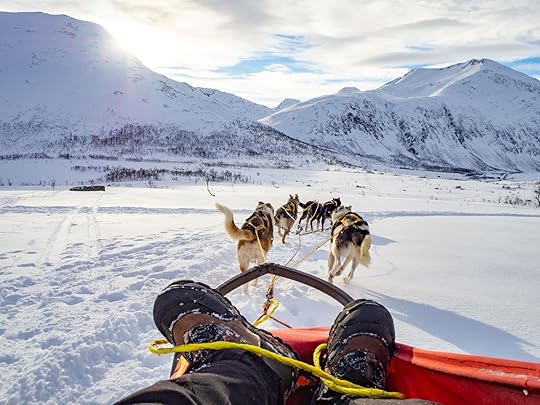 Dog sledding in lillehammer norway