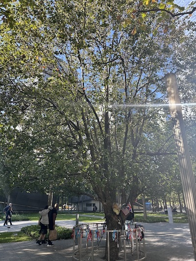 Survivor Tree