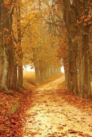 autumn-mood