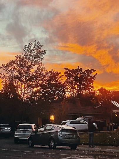 Let It Be Sunday, 441!