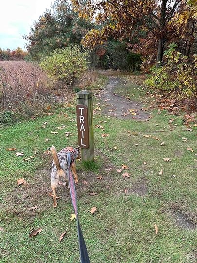 Start of Savanna Trail at Cobus Creek County Park