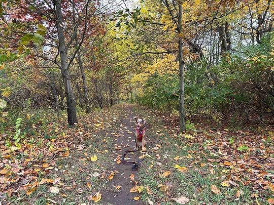 Cobus Creek County Park