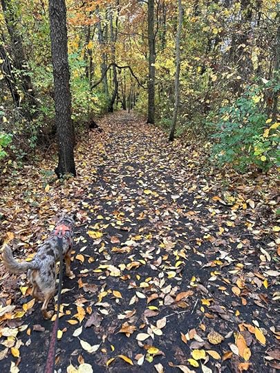 Cobus Creek County Park