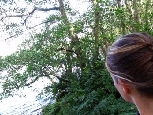 Ailish Sinclair goes into the woods