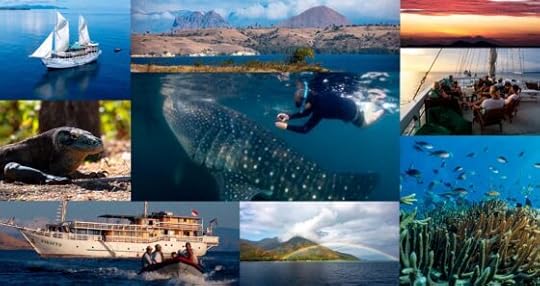 The mystery of whale sharks: an unremarked-upon but amazing animal