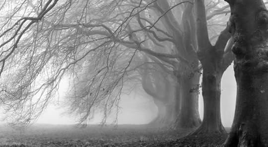 Fog