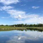 Elliston Park