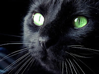 Panzer says, We need to watch what happens.