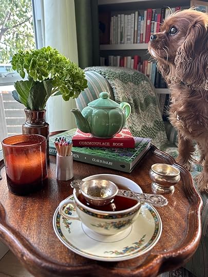 Nelleteacupstrainernook