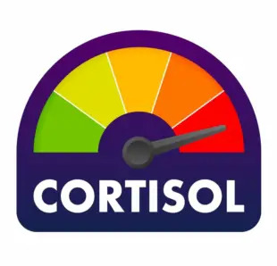 cortisolspiegel