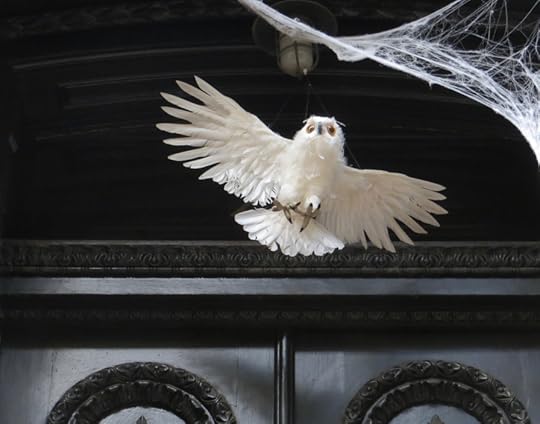 Halloween, New York City, 2023