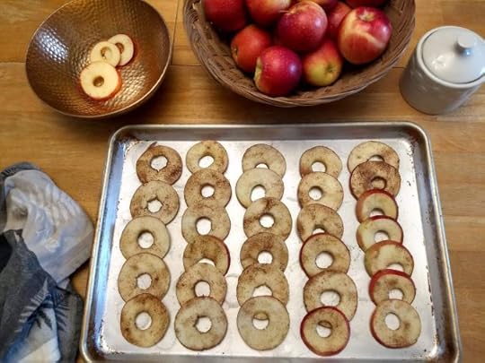 apple slices laid out on a tray ready to be baked into apple chips