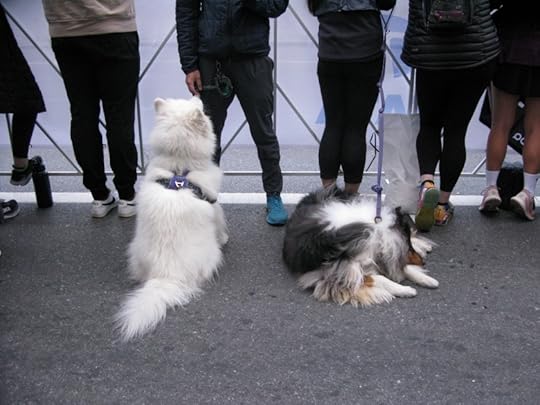 New York City Marathon 2023, Spectators
