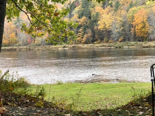 The backyard view of the river from my cottage in Maine.