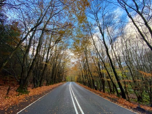 road to winter in Aberdeenshire