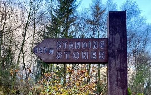 Strichen Stone Circle
