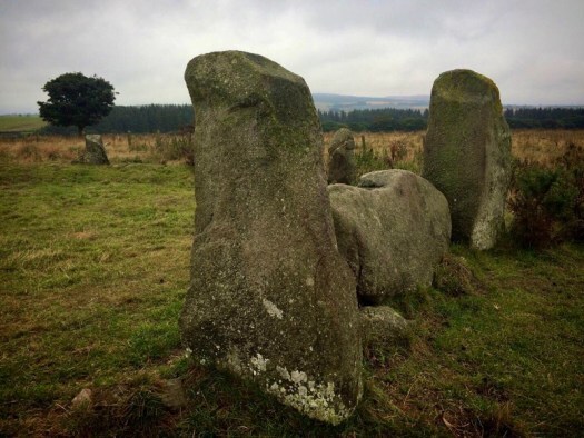 recumbent and flankers at Strichen Stone Circle