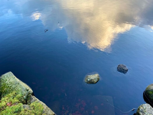 Reflections in Strichen Lake