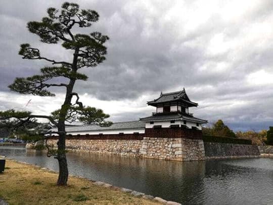 Hiroshima wall moat and tree