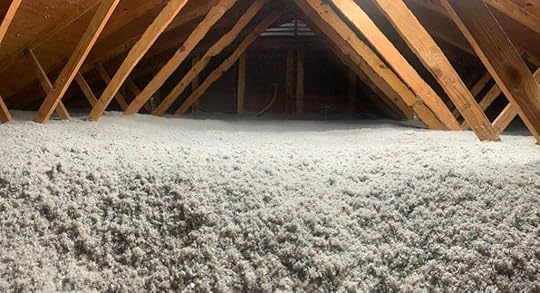 Attic Insulation Removal