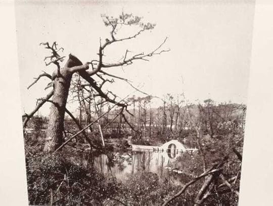 SHUKKEIEN garden was restored in 1949 and then opened in 1951.