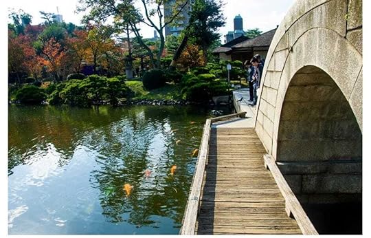 bridge and carp pond in the gardens