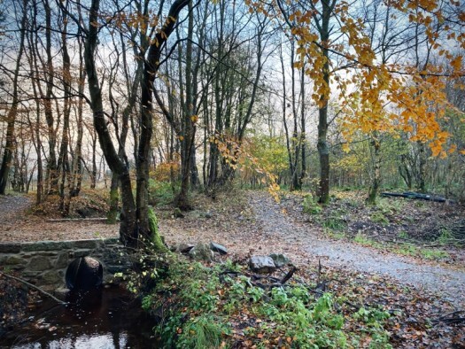 across a wee bridge to chocolatey books