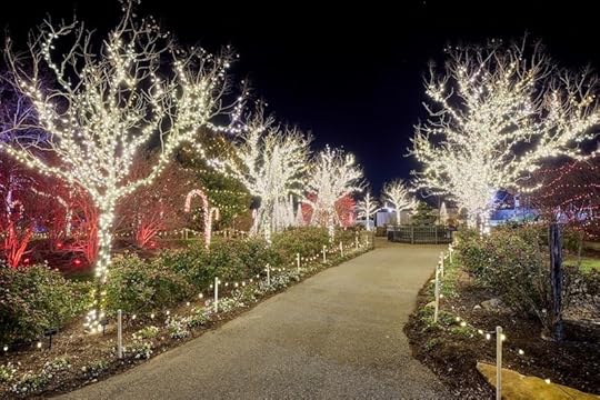 Creation Museum ChristmasTime