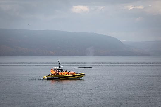 A whale-watching expedition in Tadoussac, Quebec