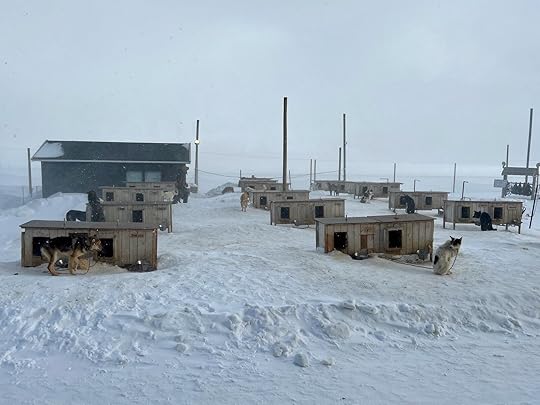 svalbard husky dog houses