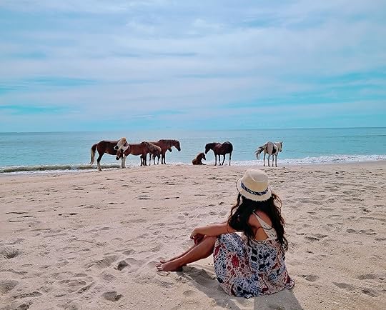 things to do in ocean city md - wild horses