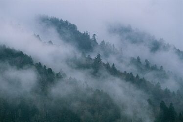 clouds roll over the tree tops of a mountain range