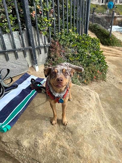 all smiles at the beach on our close to home adventure