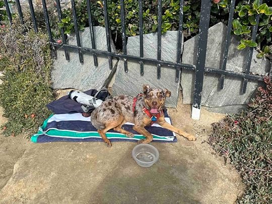 lounging on our close to home adventure